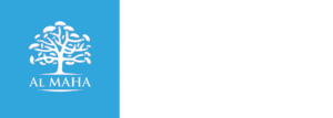 main 1 2048x731